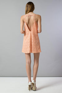 Floral Lace Mini Dress