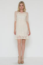 Upper See-Thru Lace Dress